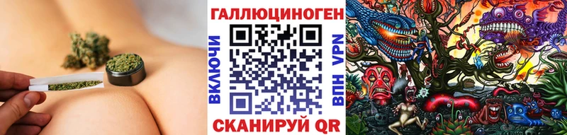 дарк нет состав  Кондрово  Псилоцибиновые грибы Psilocybe 